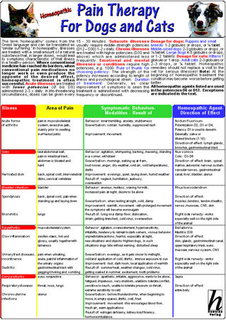 Homeopathic Pain Therapy for Dogs and Cats - 