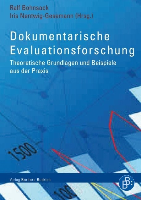 Dokumentarische Evaluationsforschung - 