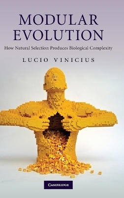 Modular Evolution - Lucio Vinicius