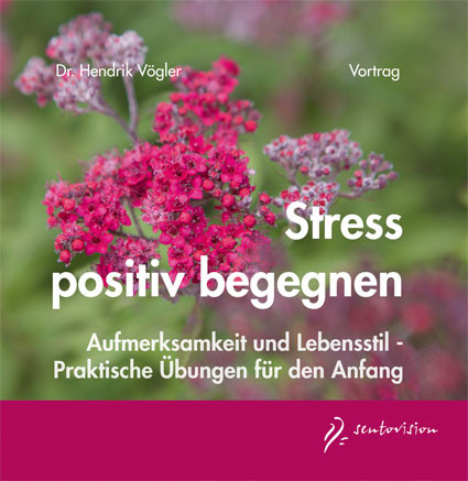 Stress positiv begegnen - Hendrik Vögler