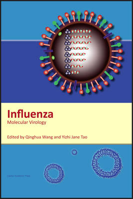 Influenza - 