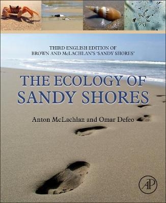 Ecology of Sandy Shores -  Omar Defeo,  Anton McLachlan