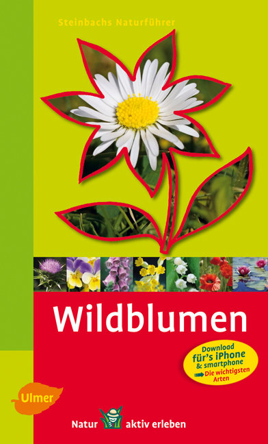 Steinbachs Naturführer Wildblumen - Bruno P. Kremer, Birke Steinbach