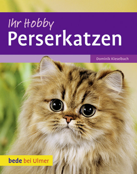 Ihr Hobby Perserkatzen - Dominik Kieselbach