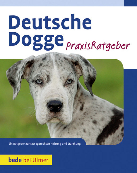 Deutsche Dogge - S. William Haas