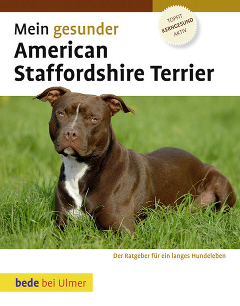 Mein gesunder American Staffordshire Terrier - Robert Williams