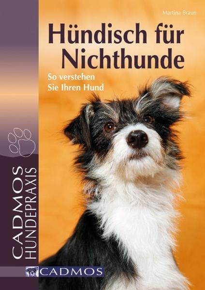 Hündisch für Nichthunde - Martina Braun