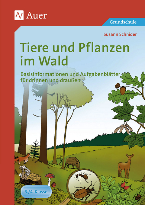 Tiere und Pflanzen im Wald - Susann Schnider