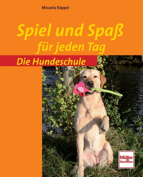 Spiel und Spaß für jeden Tag - Micaela Köppel