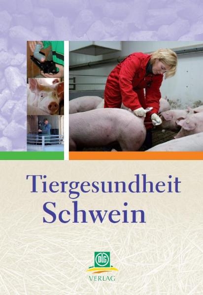 Tiergesundheit Schwein -  Blaha,  Hoy,  Schulte-Wülwer,  Stalljohann,  Brede,  Sieverding