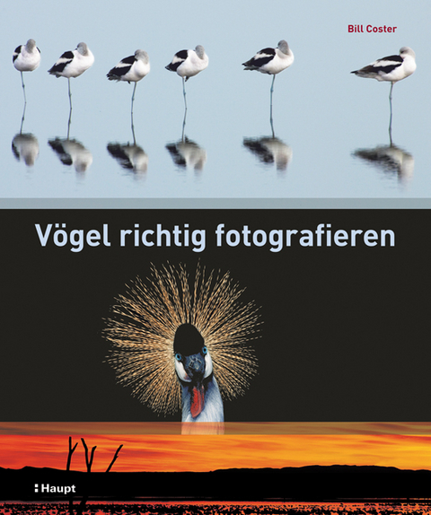 Vögel richtig fotografieren - Bill Coster