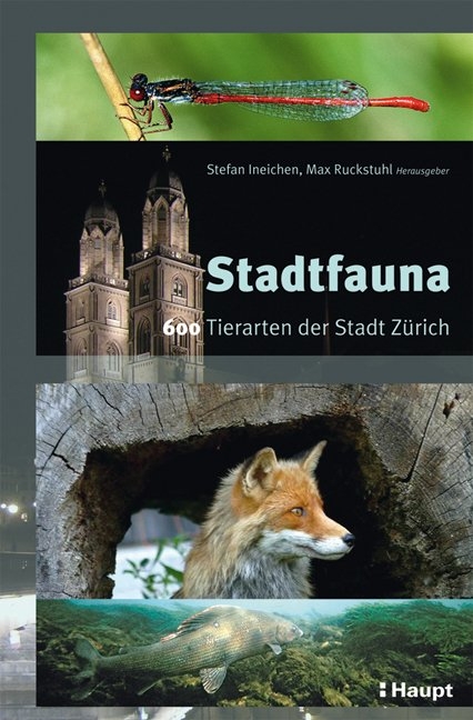 Stadtfauna - 