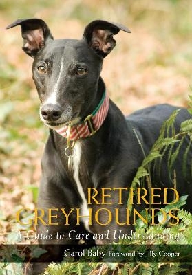 Retired Greyhounds - Carol Baby