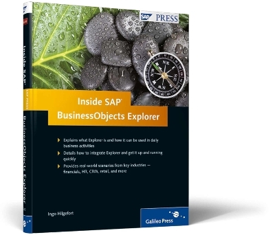 Inside SAP BusinessObjects Explorer - Ingo Hilgefort