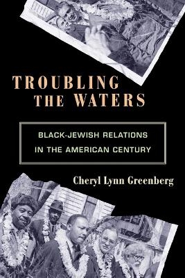 Troubling the Waters - Cheryl Lynn Greenberg