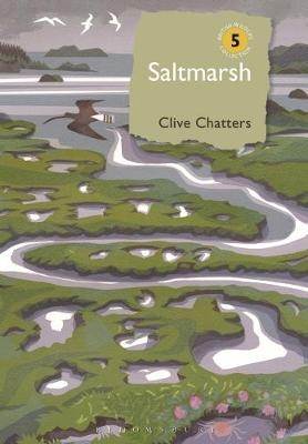 Saltmarsh -  Clive Chatters