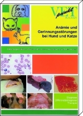 Anämie und Gerinnungsstörungen bei Hund und Katze - Gerhard Staudacher