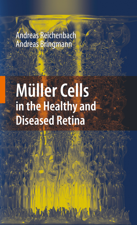 Müller Cells in the Healthy and Diseased Retina - Andreas Reichenbach, Andreas Bringmann