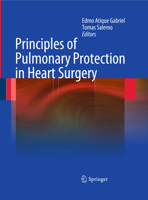 Principles of Pulmonary Protection in Heart Surgery - 