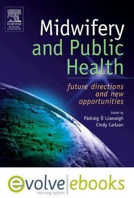 Midwifery and Public Health - Padraig O'Luanaigh, Cindy Carlson