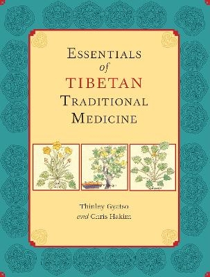 Essentials of Tibetan Traditional Medicine - Thinley Gyatso, Chris Hakim