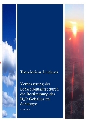 Optimierung eines Schweißprozesses bei verschweißen von Aluminium - Theodoricus Lindauer