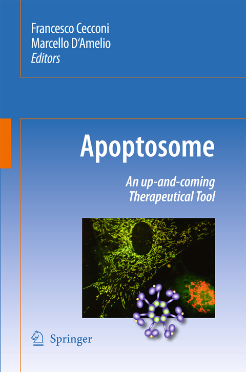 Apoptosome - 