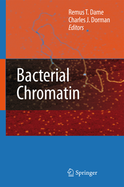 Bacterial Chromatin - 