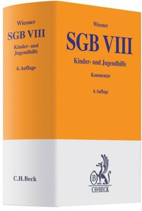 SGB VIII - 