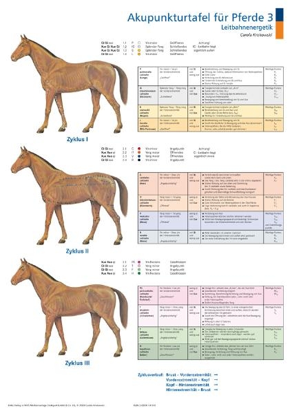 Akupunkturtafel für Pferde 3 + 4 - Carola Krokowski