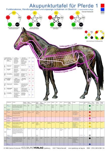 Akupunkturtafel für Pferde 1 + 2 - Carola Krokowski