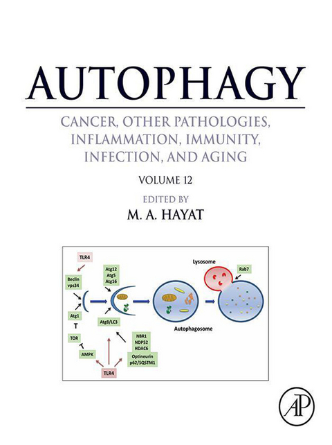 Autophagy: Cancer, Other Pathologies, Inflammation, Immunity, Infection, and Aging - 