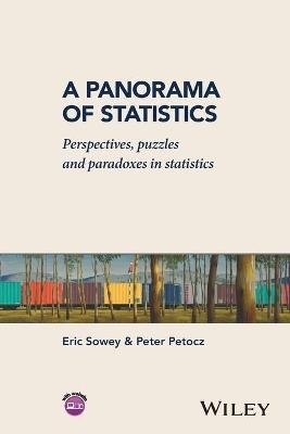 A Panorama of Statistics - Eric Sowey, Peter Petocz