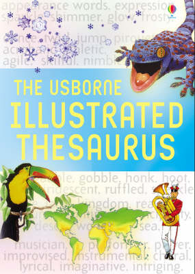 Usborne Illustrated Thesaurus