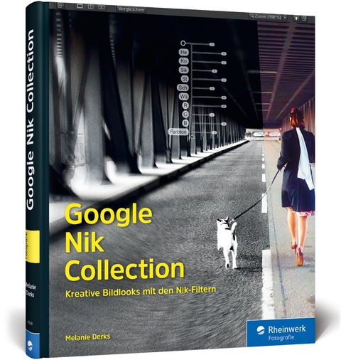 Google Nik Collection - Melanie Derks