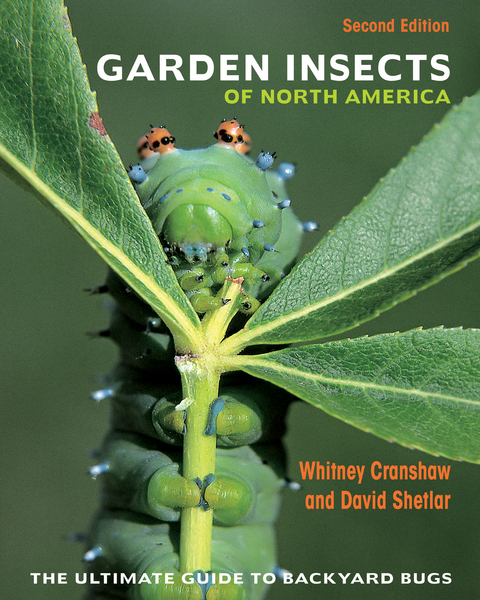 Garden Insects of North America -  Whitney Cranshaw,  David Shetlar