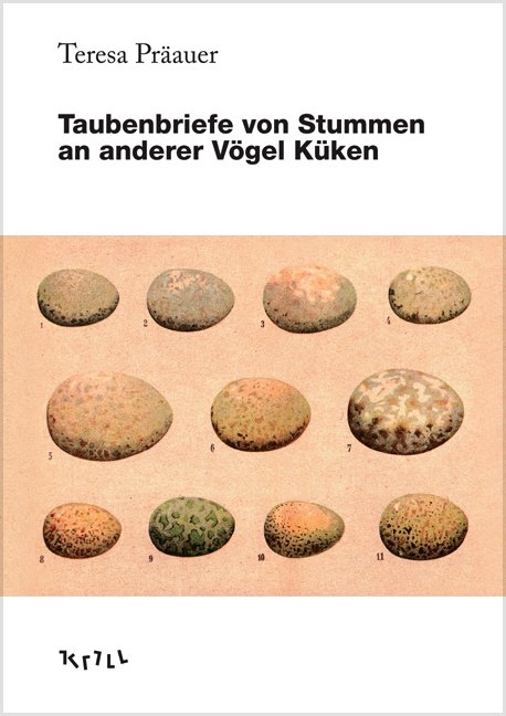 Taubenbriefe von Stummen an anderer Vögel Küken - Teresa Präauer