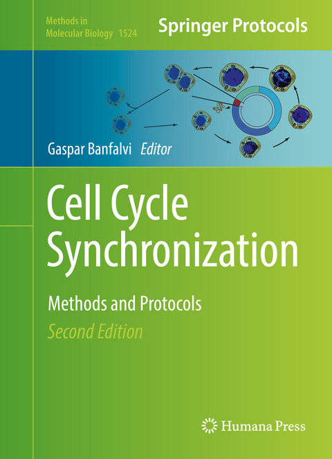 Cell Cycle Synchronization - 