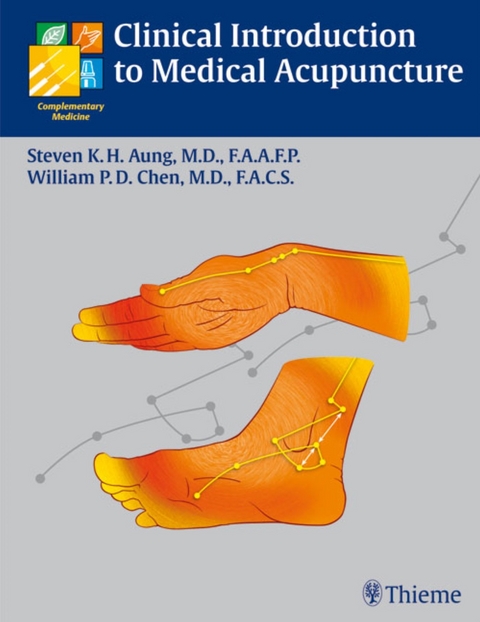 Clinical Introduction to Medical Acupuncture - Steven K.H. Aung, William Pai-Dei Chen