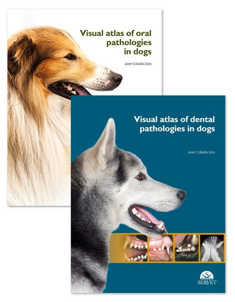 Set: Visual atlas of oral pathologies in dogs / Visual Atlas of Dental Pathologies in Dogs - Javier Collados Soto