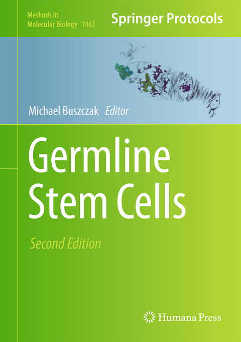 Germline Stem Cells - 