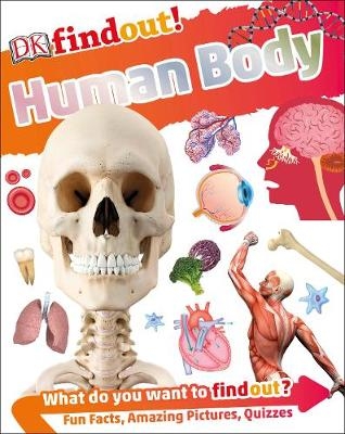 DKfindout! Human Body -  Dk