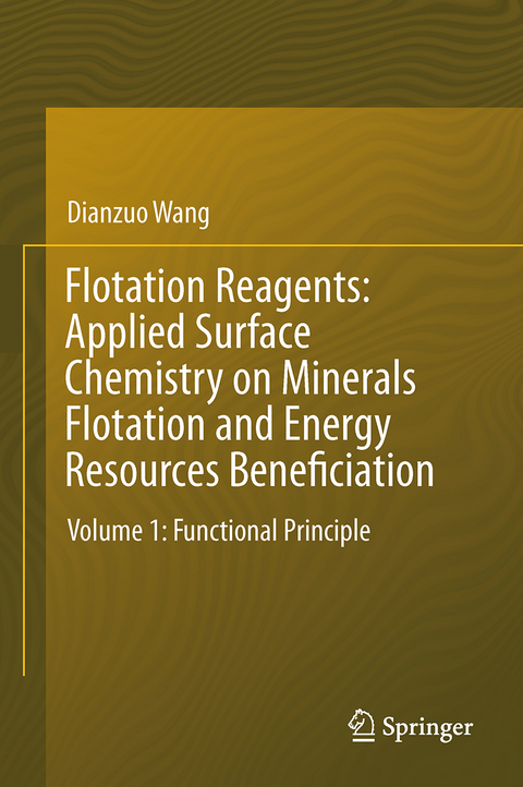 Flotation Reagents: Applied Surface Chemistry on Minerals Flotation and Energy Resources Beneficiation - Dianzuo Wang