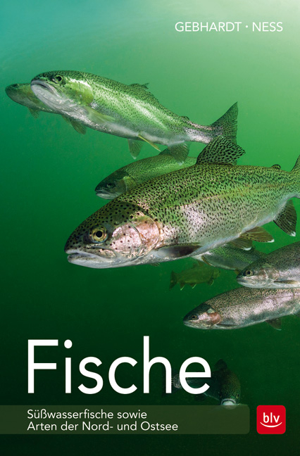 Fische - Harald Gebhardt, Andreas Ness