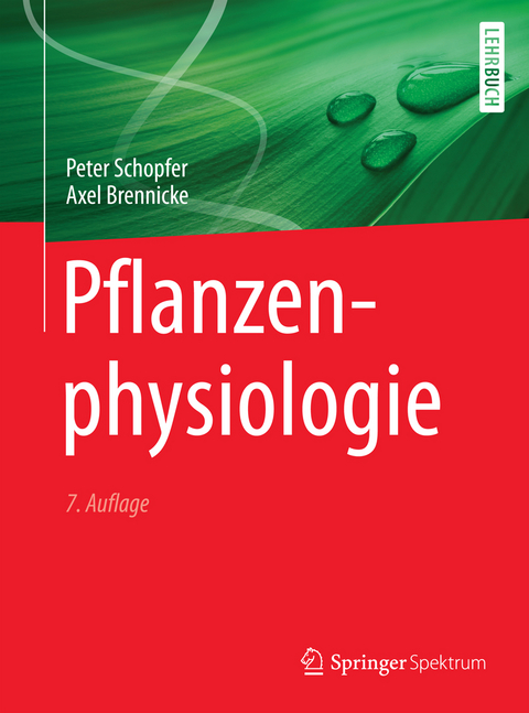 Pflanzenphysiologie - Peter Schopfer, Axel Brennicke