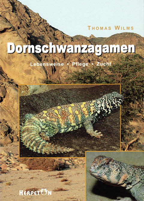 Dornschwanzagamen - Thomas Wilms