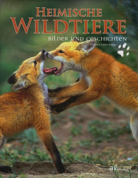 Heimische Wildtiere - Daniela Lipka