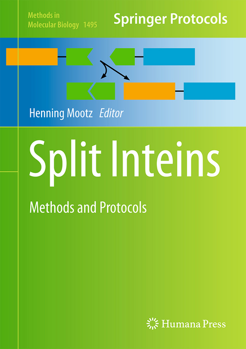 Split Inteins - 