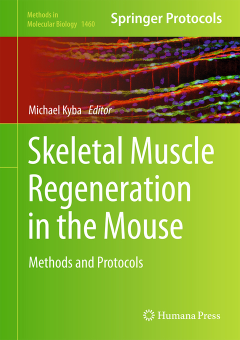 Skeletal Muscle Regeneration in the Mouse - 