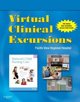 Virtual Clinical Excursions 3.0 for Maternal Child Nursing Care - Shannon E Perry, Marilyn J Hockenberry, Deitra Leonard Lowdermilk